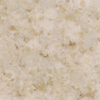 Beige Savannah