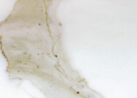 Calacatta