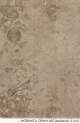 Morawica Ciemny Be�