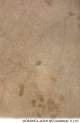 Morawica Jasny Be�