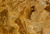 Brown Coral