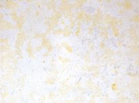 Crema Pinar